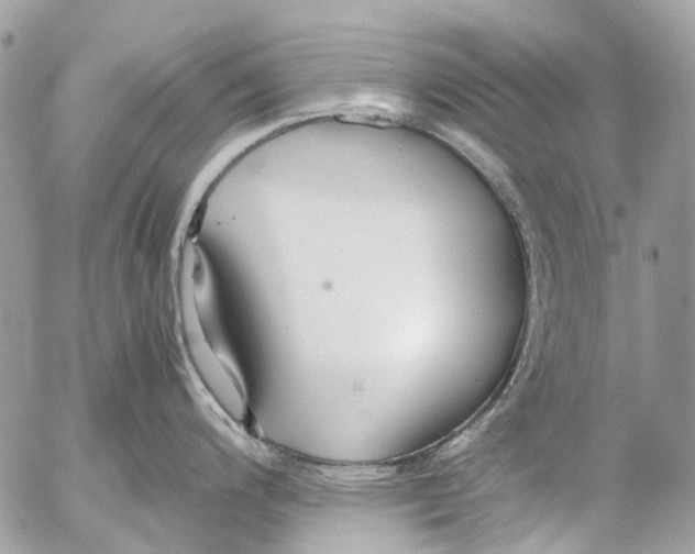 X0000053071200200508081212