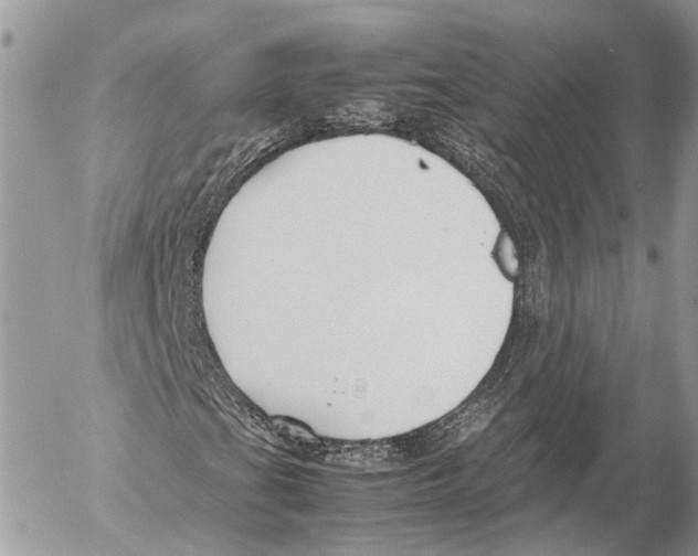 X0000053071201200508081211