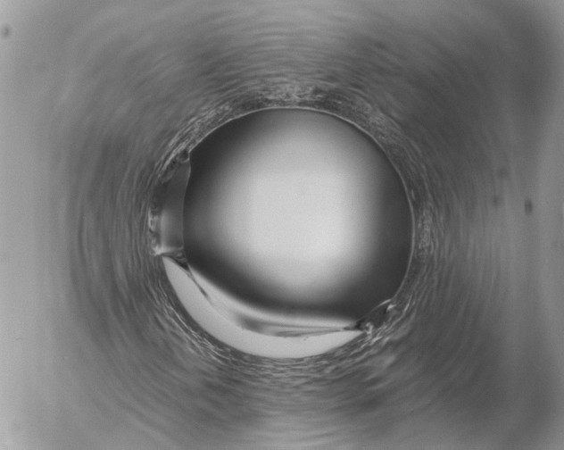 X0000053071202200508081211