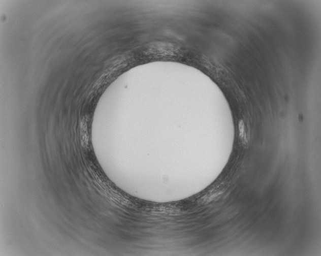 X0000053071203200508081211