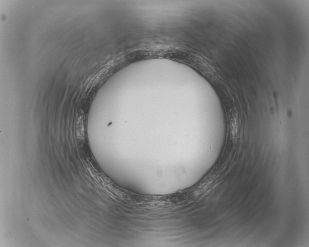 X0000053071204200508081211