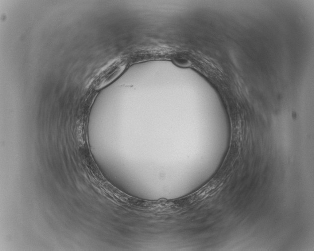 X0000053071205200508081211