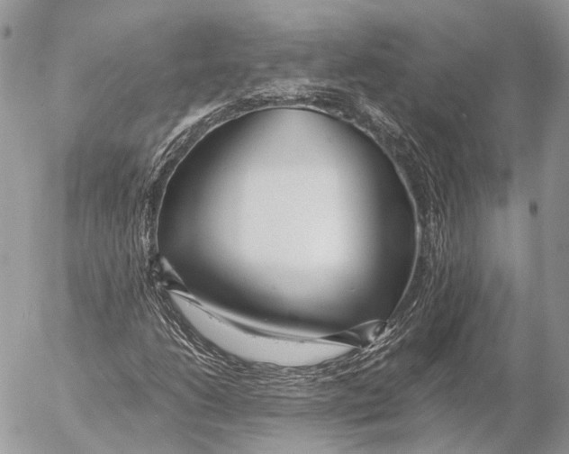 X0000053071206200508081211