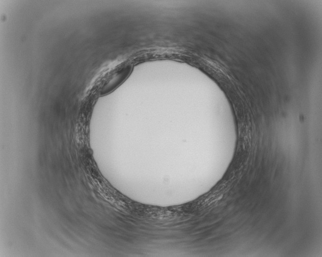 X0000053071207200508081211