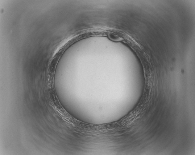 X0000053071208200508081211