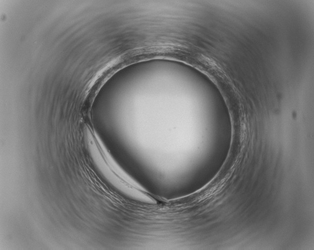 X0000053071210200508081211