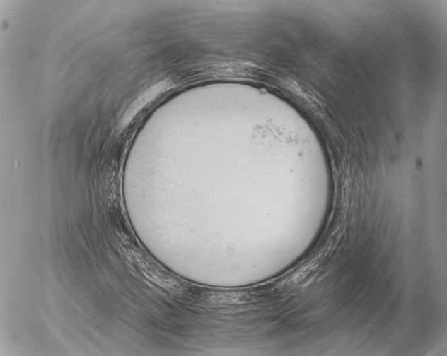 X0000053071211200508081211