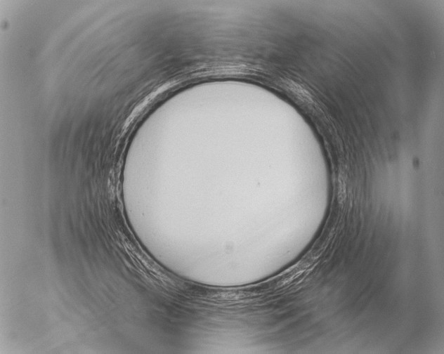 X0000053071212200508081211