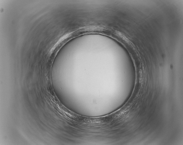 X0000053071213200508081211