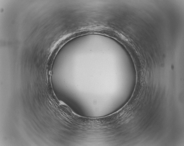 X0000053071214200508081211