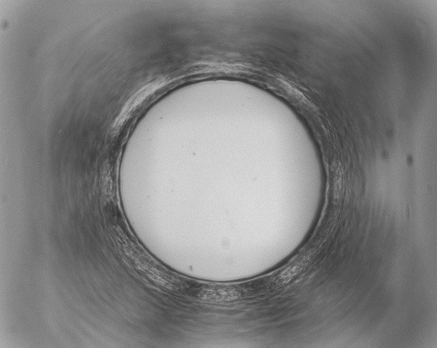 X0000053071215200508081211