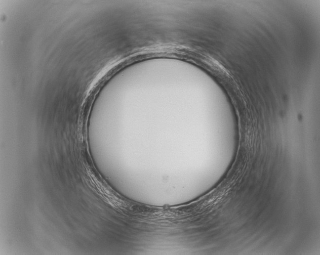 X0000053071216200508081211