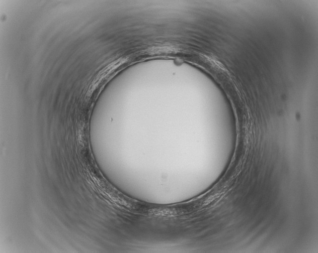 X0000053071217200508081211