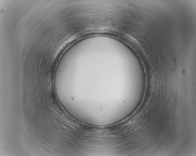 X0000053071218200508081211