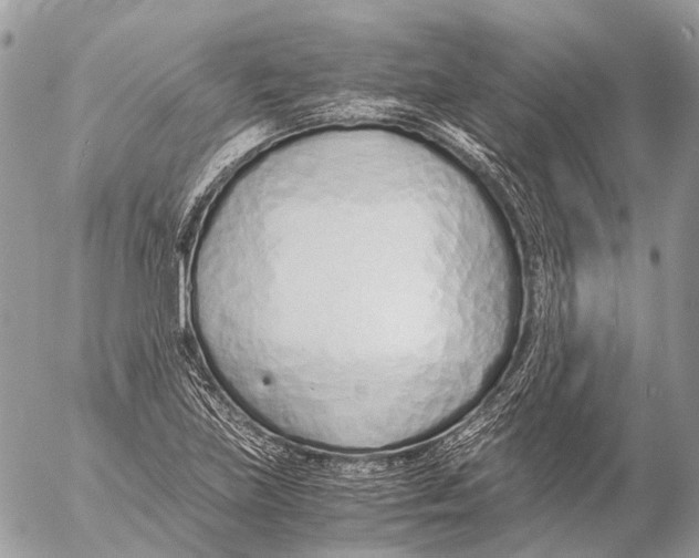 X0000053071219200508081211