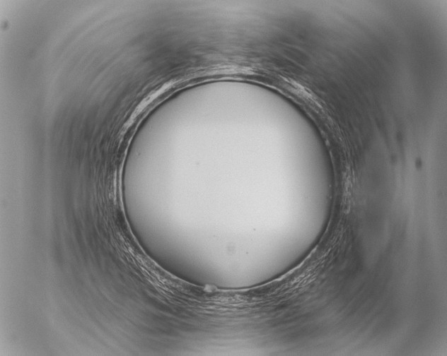 X0000053071220200508081211