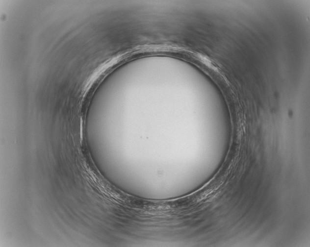 X0000053071221200508081211