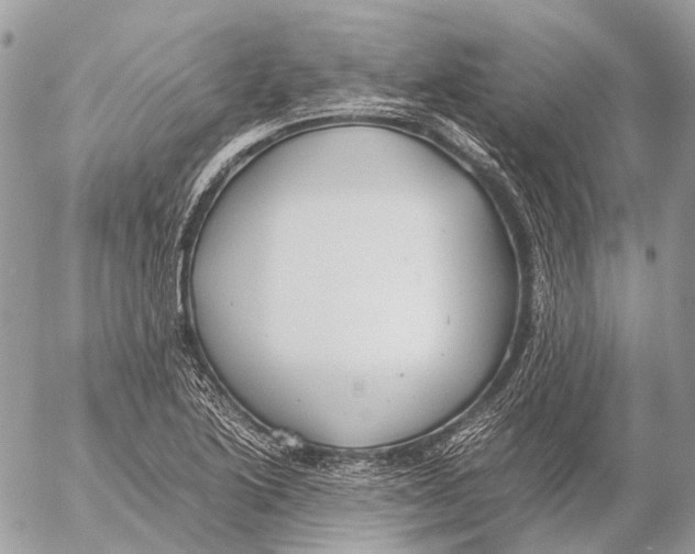 X0000053071222200508081211