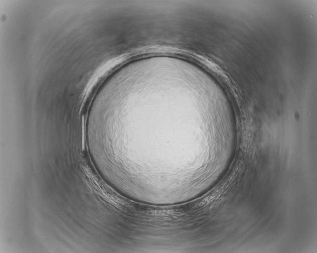 X0000053071223200508081211