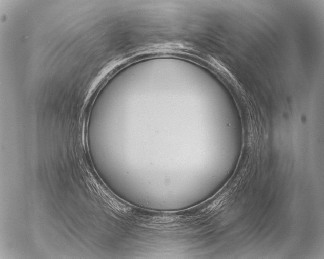 X0000053071224200508081211