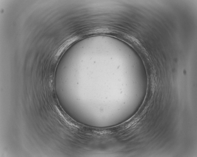 X0000053071225200508081211