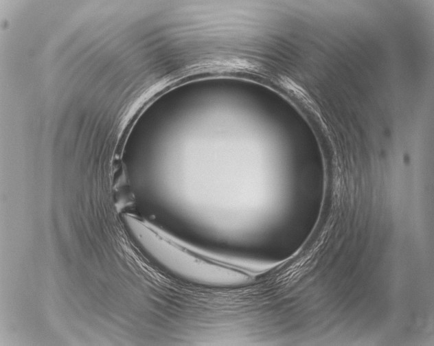 X0000053071226200508081211