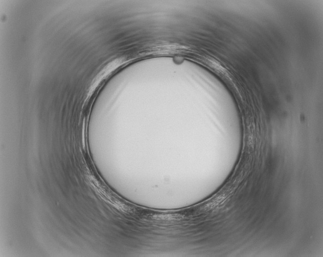 X0000053071227200508081211