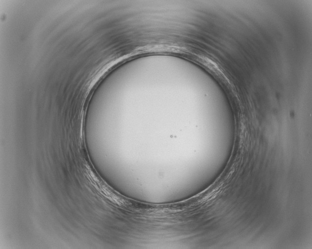 X0000053071228200508081211