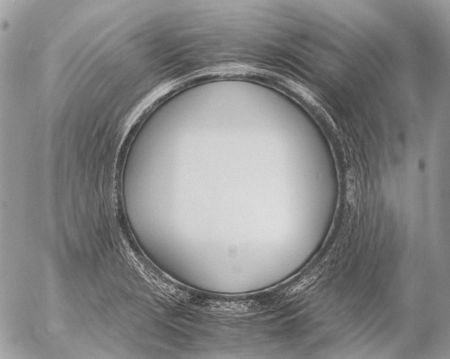 X0000053071229200508081211