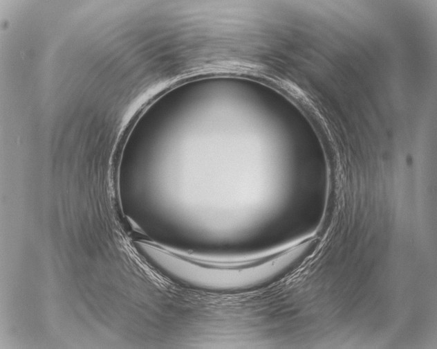 X0000053071230200508081211