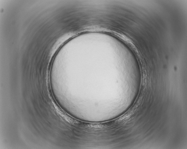 X0000053071231200508081211