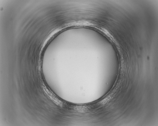 X0000053071232200508081211