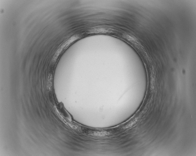 X0000053071233200508081211