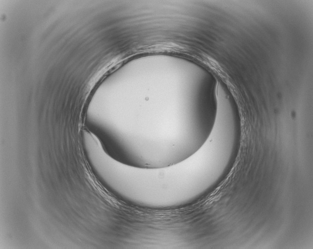 X0000053071234200508081211