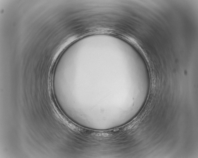 X0000053071235200508081211