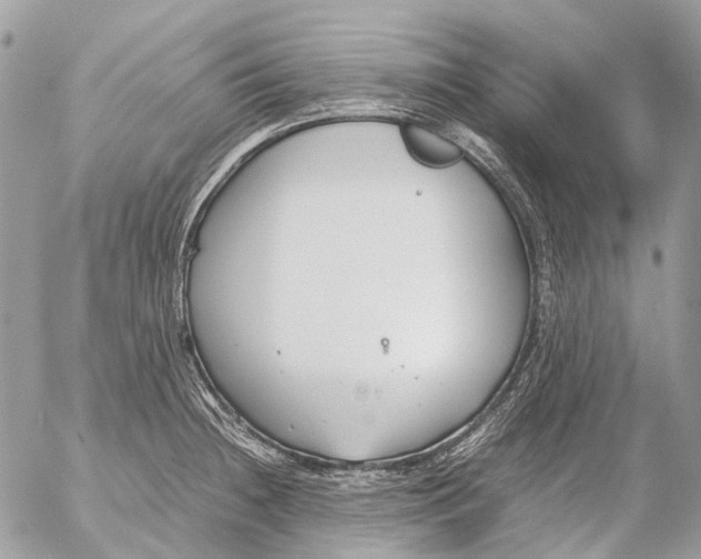 X0000053071236200508081211