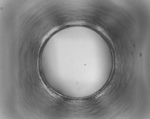 X0000053071237200508081211