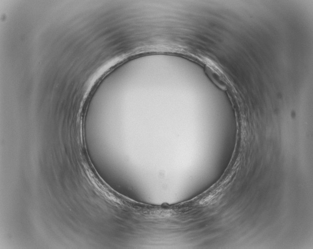 X0000053071238200508081211