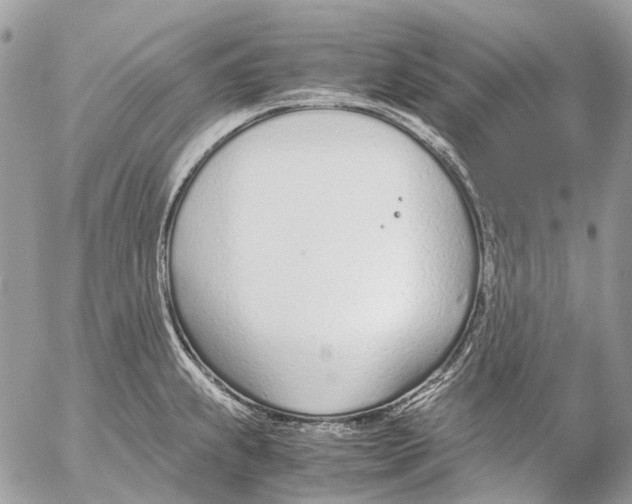 X0000053071239200508081211