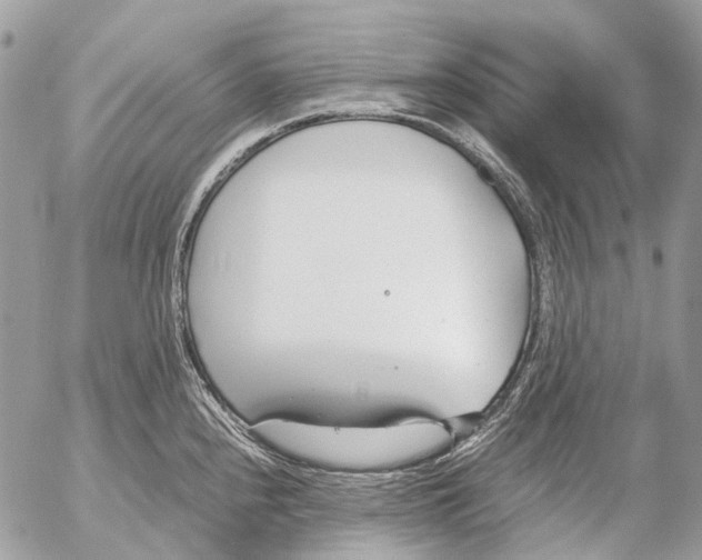 X0000053071240200508081211