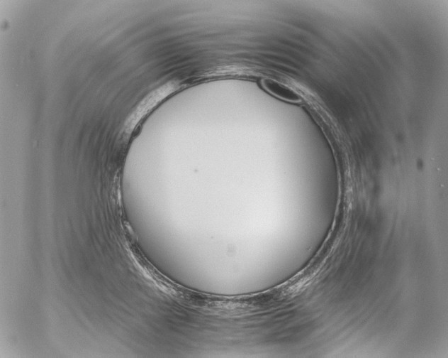 X0000053071241200508081211