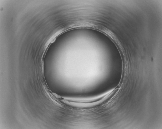 X0000053071242200508081211