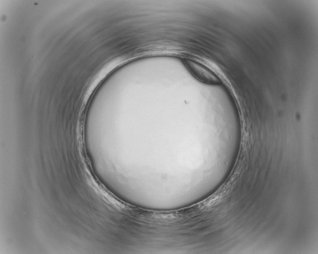 X0000053071243200508081211