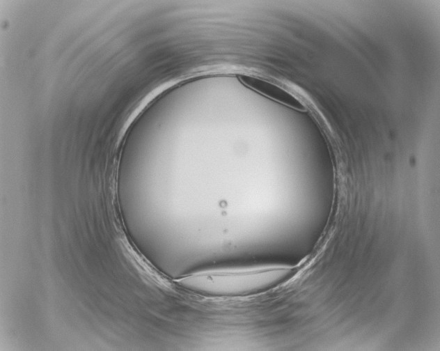 X0000053071244200508081211