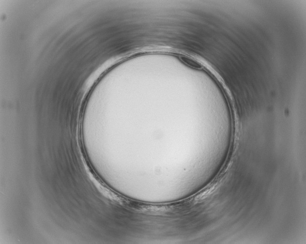 X0000053071245200508081211