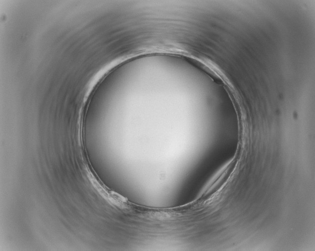 X0000053071246200508081211