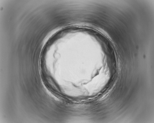 X0000053071247200508081211