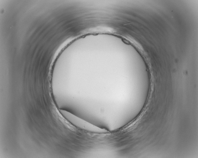 X0000053071248200508081212