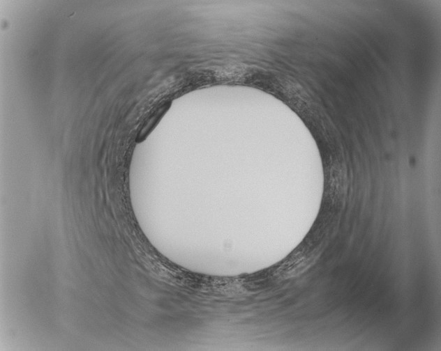 X0000053071249200508081211