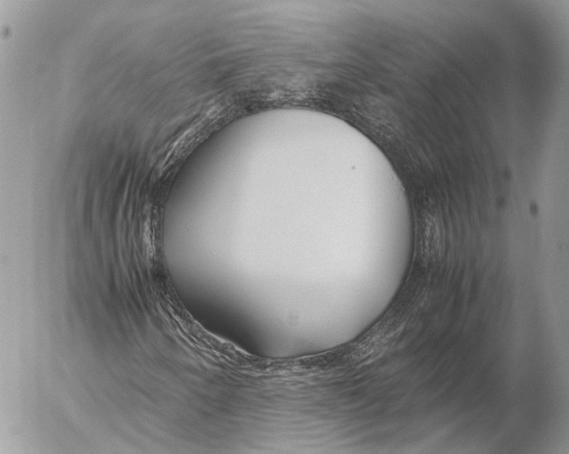 X0000053071250200508081211